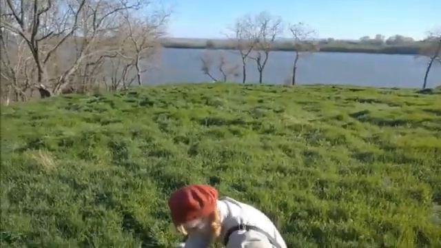 On a walk. Cavalier King Charles Spaniel. На прогулянці. Кавалер Кінг Чарльз Спанієль. смотреть онлайн