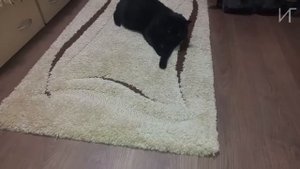 НБК АР-480. Марафон 24 часа