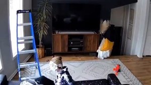 упала со стремянки когда красила