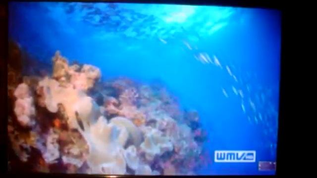 ASUS Eee Box ruckelfreie 1080p Wiedergabe смотреть онлайн