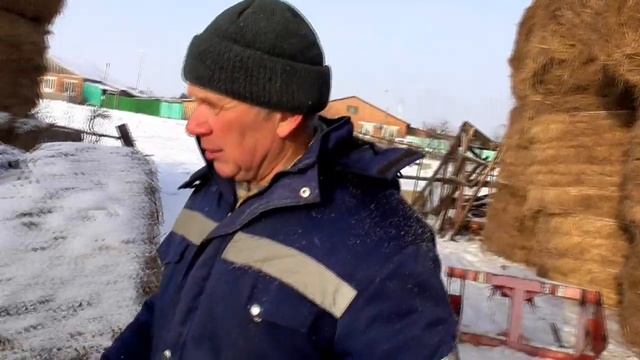 Какие проблемы деревня зимой течка у суки алабая #Бажениты смотреть онлайн