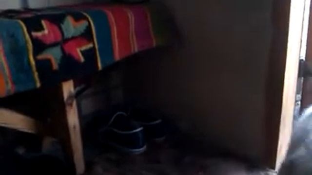 мышь укусила кота смотреть онлайн