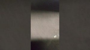 ТЮНИНГ ПРАДО 120. СПАЛЬНИК. БУДУЩИЙ   ОБЩИЙ ВИД.