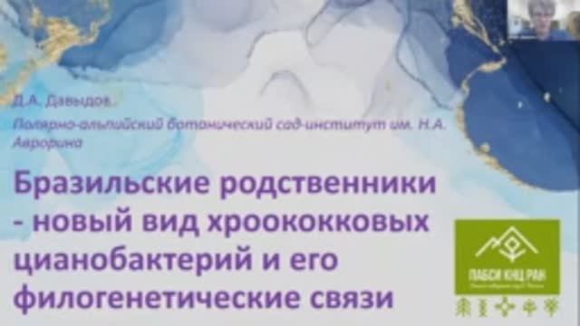 Бразильские родственники — новый вид хроококковых цианобактерий и его филогенетические связи.