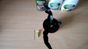 Кротон сбросил листья, что делать?