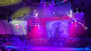 Под куполом. Новогоднее шоу Гии Эрадзе. Брянск, Цирк, 2023.