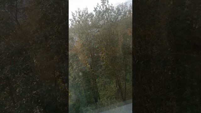 2к.кв ПРОДАЖА. В. Новгород, ул. Коровникова, д. 7, 5/9эт смотреть онлайн