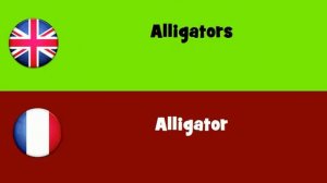 FROM ENGLISH TO FRENCH = Alligators