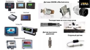 Вебинар VESA SYSTEM.  ТОП-5 проблем перевозчиков, связанных с перегрузом