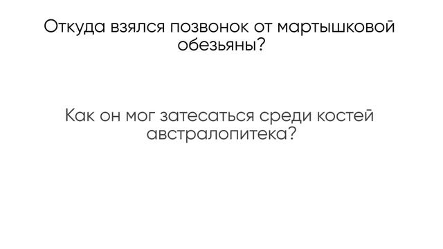 Люси: как австралопитека афарского исключили из родословной человека