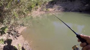 ловля голавля на реке Пшиш (Рыбалка в Краснодарском крае)