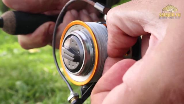 Как ловить фидером, когда летит пух с деревьев? [salapinru] смотреть онлайн