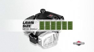 Особенности двигателя Briggs & Stratton 775iS INSTART