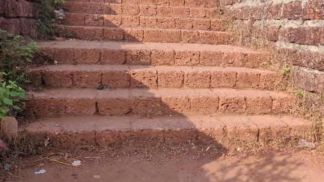 Goa Travel Vlog | Baga Beach | Calangute Beach | Morjim Beach | Candolim Beach | Chapora Fort