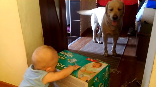 Влад и приставучий Данька . Реклама PAMPERS