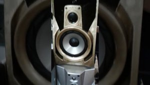 Sony rx110av and ss-rx99