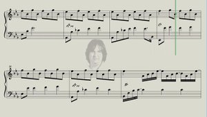 The Wonder of Life  -  Dietmar Steinhauer