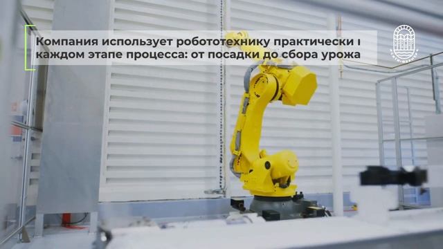 Вертикальная ферма с двухэтажными грядками?! смотреть онлайн