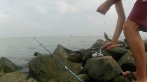 Ловля АЗОВСКОГО БЫЧКА с волнореза!