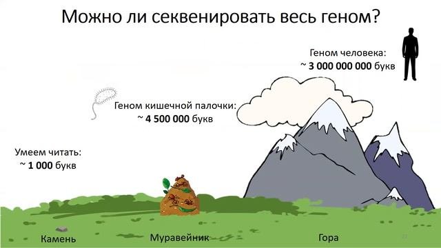 ПРЕДЪЯВИТЕ ВАШ ГЕНЕТИЧЕСКИЙ ПАСПОРТ ИЛИ КАК ПРОЧИТАТЬ ГЕНОМ