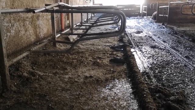 Сапоги-скороходы. Расстаемся! но только до вечера? смотреть онлайн