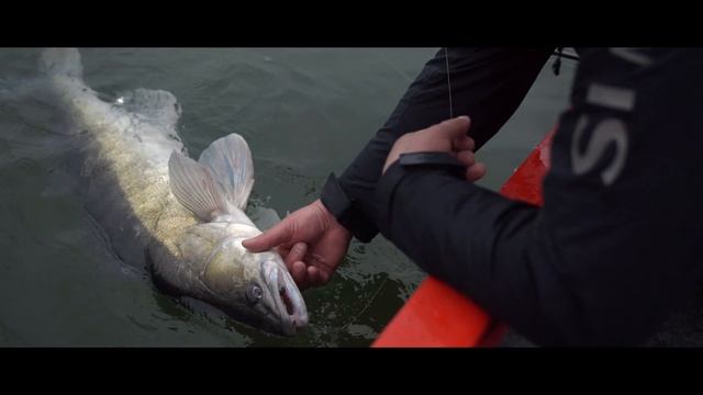 Narval ARGUMENT. Спиннинг, разработанный в России смотреть онлайн