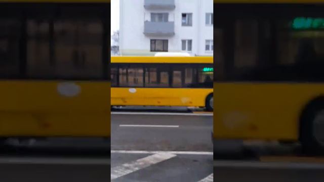 бан! маз 203 по 19 маршруту и электробус маз 303е по 19 маршруту