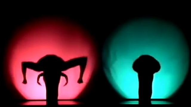Pilobolus