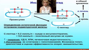 Инсулинорезистентность