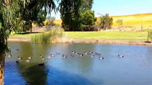 Города Австралии.  Дома района, в котором я живу. Перт (штат Западная Австралия)