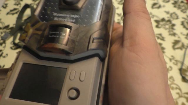 Фотоловушка Филин wifi 900 pro. Обзор. Примеры съемки. смотреть онлайн