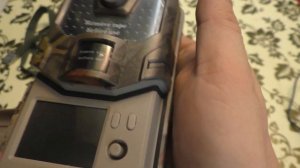 Фотоловушка Филин wifi 900 pro. Обзор. Примеры съемки.