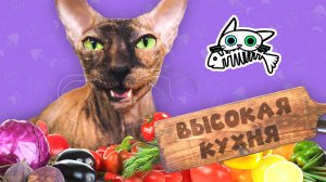 Котлетки из индейки для лысой кисы Ниньи — Кусь - шоу — Высокая кухня