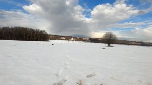 Linhai Yamaha M550L - лебёдка лишней не бывает!