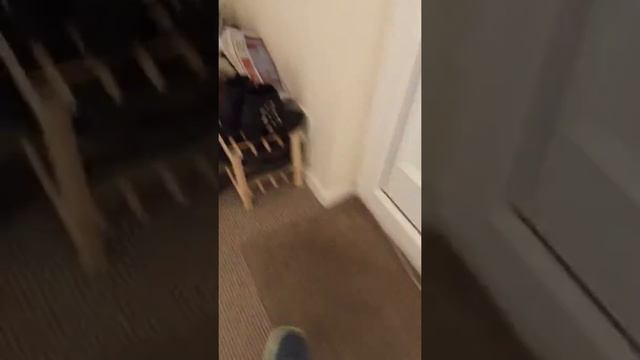 BMW Z4 3.0si Aerial Modification смотреть онлайн