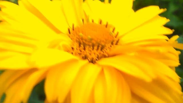 Nikon Coolpix L25 Video Test [HD] смотреть онлайн