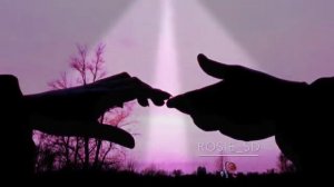 Rosie SD - Ты сердце моё покорила ❤️❤️