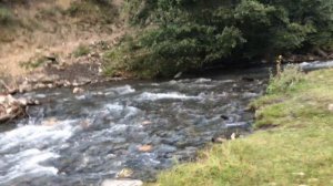 Неизвестный Дагестан/ Цунтинский район село Мокок Дидо Джамал инвестициионый капиталы