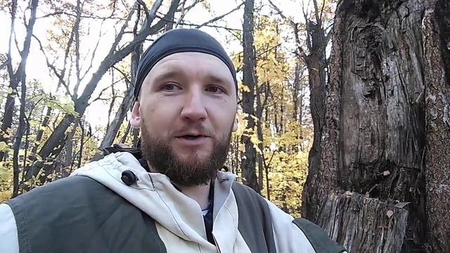 О встрече с волком. Впечатления.