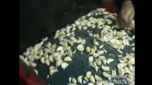 JJBroch Линия по дроблению и калибровке чеснока