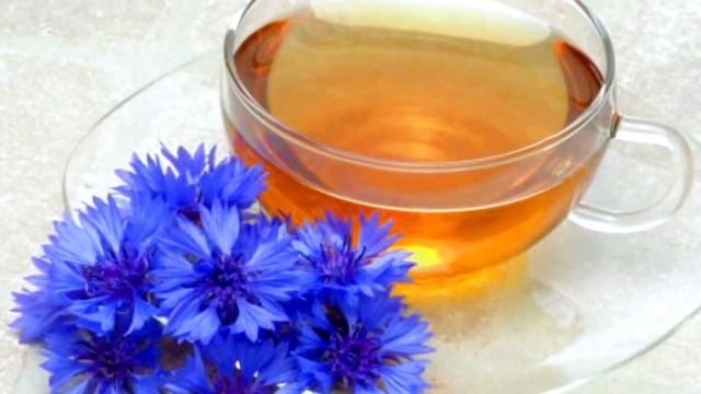 Голубой Василёк Лекарственный | Полезные свойства Полевой Василёк | Лечебные растения рядом с нами смотреть онлайн