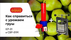 Как справиться с урожаем груш при помощи измельчителя КР-01 и соковыжималки СВР-01М Люкс ТМ "ФЕРМЕР"