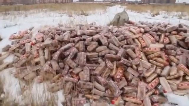 В Рязани обнаружили свалку хлеба смотреть онлайн