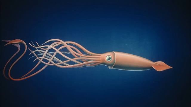 The L-Train - Architeuthis смотреть онлайн