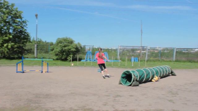Лукина Дарья и метис Грета, джампинг 0, трасса 2 смотреть онлайн