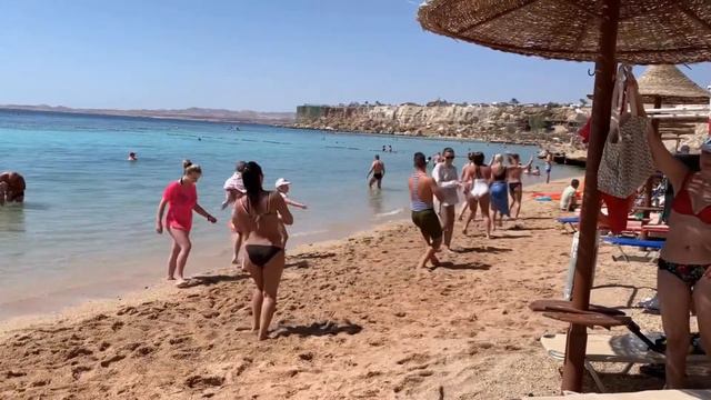 Jaz Fanara Resort видеообзор