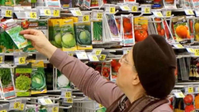 Несколько секретов как не купить плохие семена на посадку. Дачные советы и рекомендации огородникам смотреть онлайн