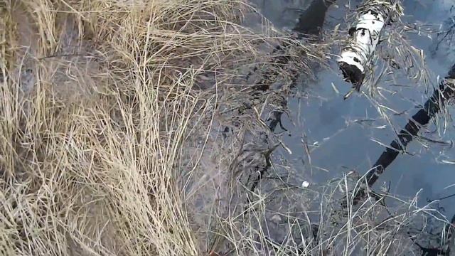 Прогулка по речке Нейва с бонусом