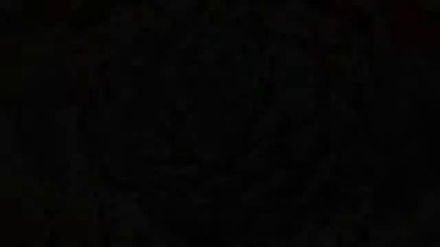 Echeveria Succulents Slideshow Collection #6 смотреть онлайн