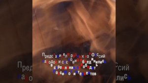 День народного единства